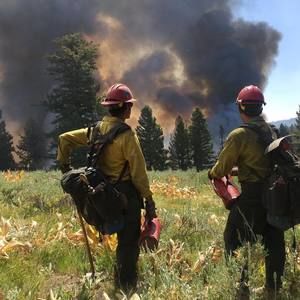 Meet your Posher, Steve